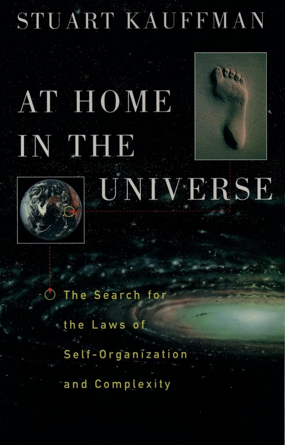 At Home in the Universe: The Search for the Laws of Self-Organization and Complexity