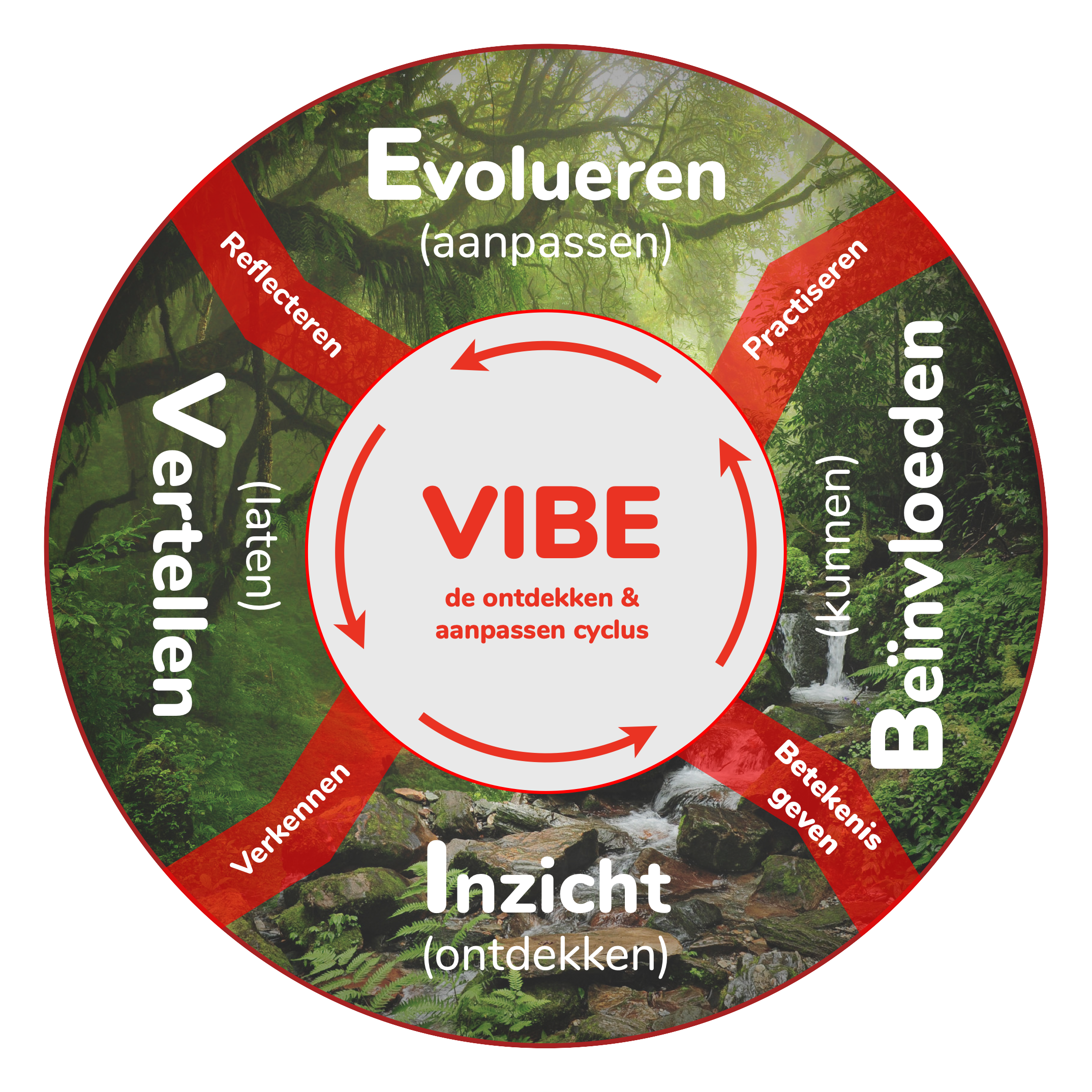 VIBE VIBE - de cyclus voor ontdekken en aanpassen met narratieve en warme data
